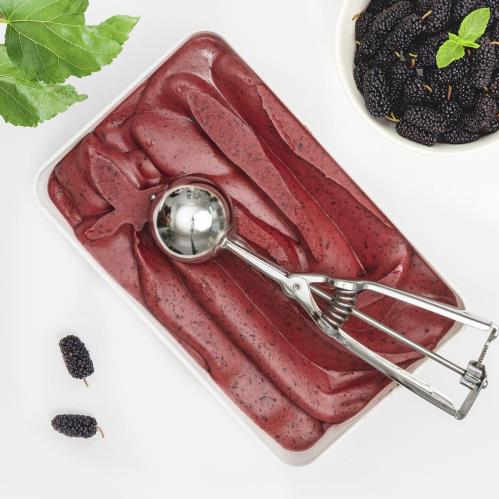 Gelsi neri siciliani Meno18